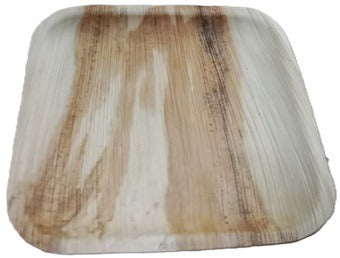 10inch Areca Plates Square  (Pack of 10)