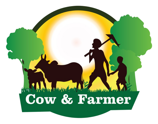 Cow and Farmer