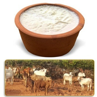 Curd (Made from Desi Cow Milk) 500 ml
