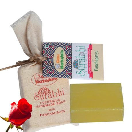 Surabhi PG Soap 100gm