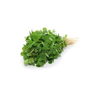 Fenugreek (Methi) Leaves 1 bunch