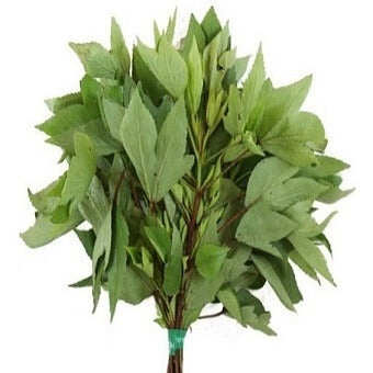 Sorrel (Gongura) Leaves  1 bunch