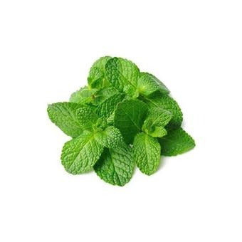 Mint (Pudina) Leaves 1 bunch